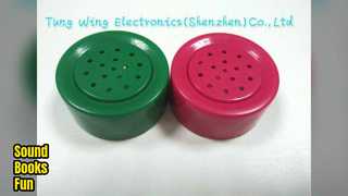 サウンドモジュール キッズブック 知育玩具